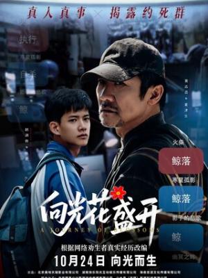 热门影视